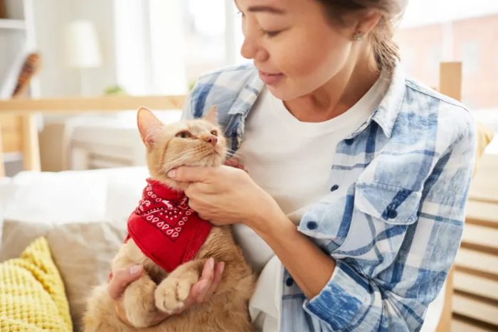 Unleash Joy with 30th Birthday Gifts for Cat Lovers