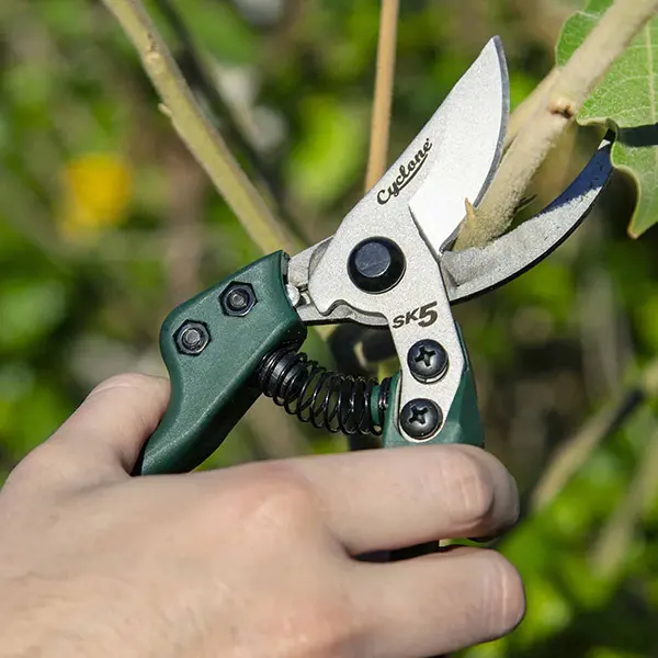 Gift them specialised pruning tools such as bypass pruners, loppers, or hedge shears