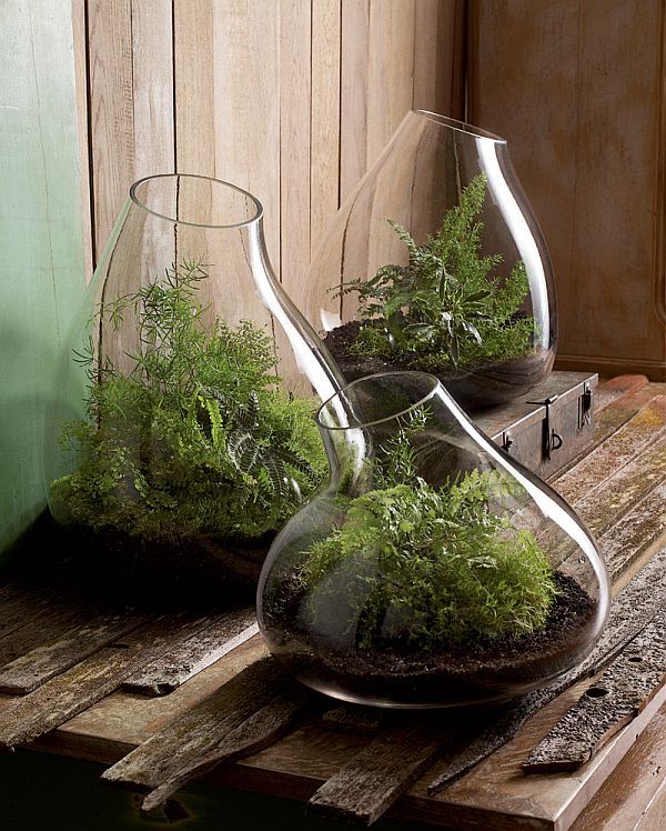 Help them bring the outdoors inside with stylish indoor planters or terrariums