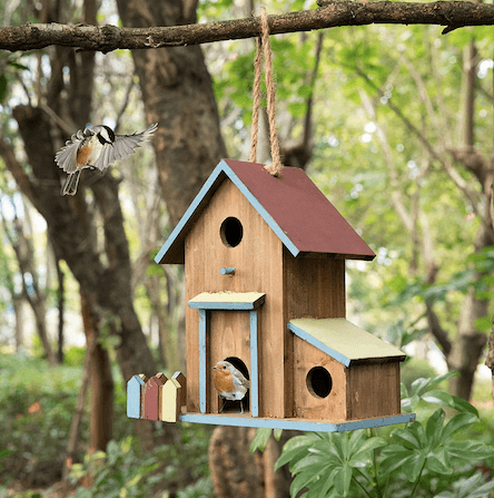 Construct a birdhouse or bird feeder using recycled materials or wood scraps