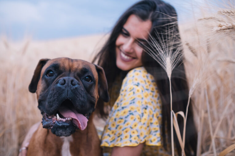 The Best Collection of Gifts For Boxer Dog Lovers