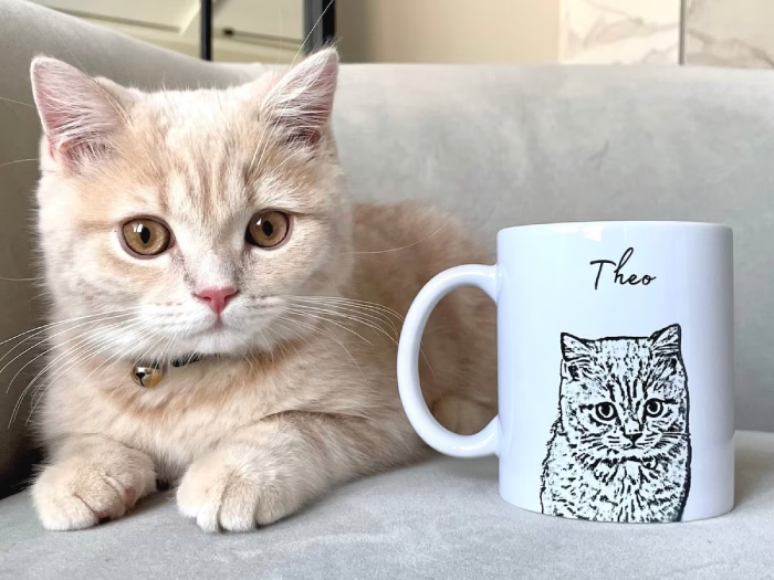 DIY Gifts for Cat Lovers to Create Whisker-Worthy Surprises