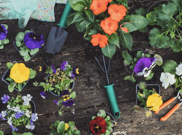 Nurturing Nature: Perfect 30+ Mother’s Day Gift for Garden Lovers