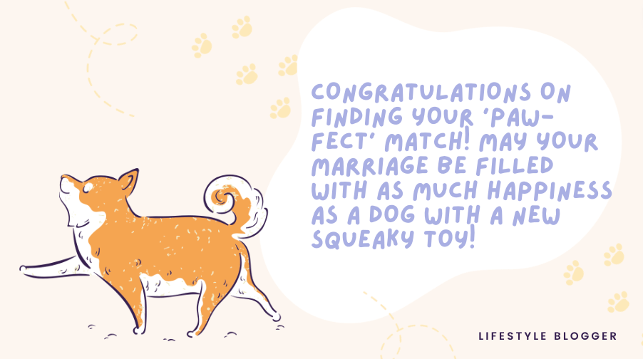 Funny Messages for Dog Lover Newlyweds to Add an Extra Joy