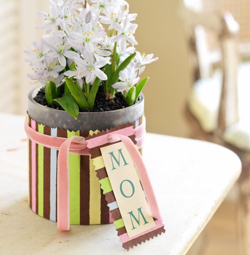 Gift her a collection of low-maintenance houseplants or succulents along with stylish planters