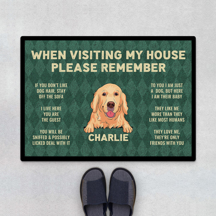 Top Home Décor Wedding Gifts for Dog-Loving Couples