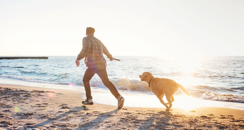 Soak up the sun and surf with your pup by your side