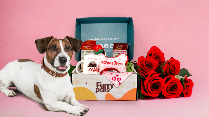 Show appreciation for the dedicated dog parent in your life with our Pup Parent Pamper Parcel