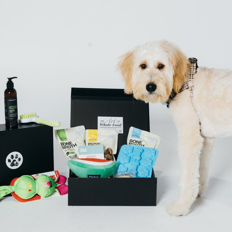 Treat your pup like royalty with the Pampered Pooch Package