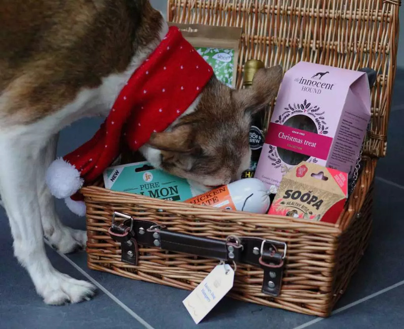 Treat your furry friend to a mouthwatering assortment of treats with this delicious hamper