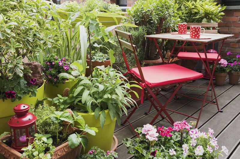 Gardeners take pride in creating aesthetically pleasing outdoor spaces, often incorporating decorative accents