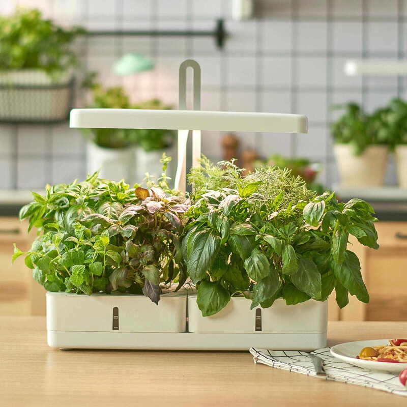 Empower them to grow fresh herbs year-round with a hydroponic herb garden kit