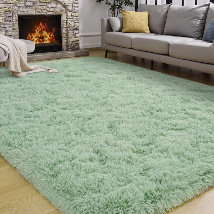 Cool Carpet Colors for Living Room