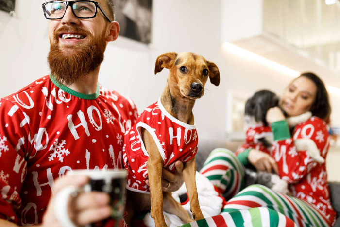 pet and owner matching outfits