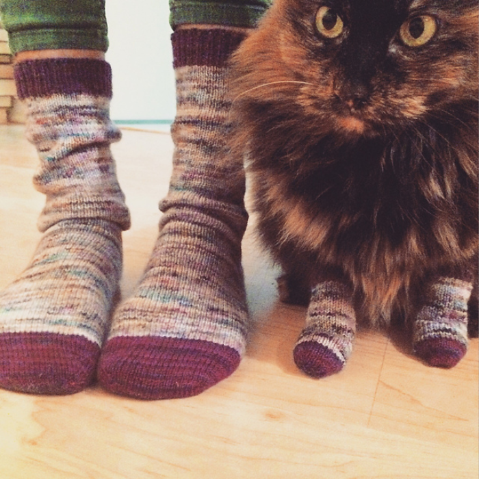 pet and owner matching outfits