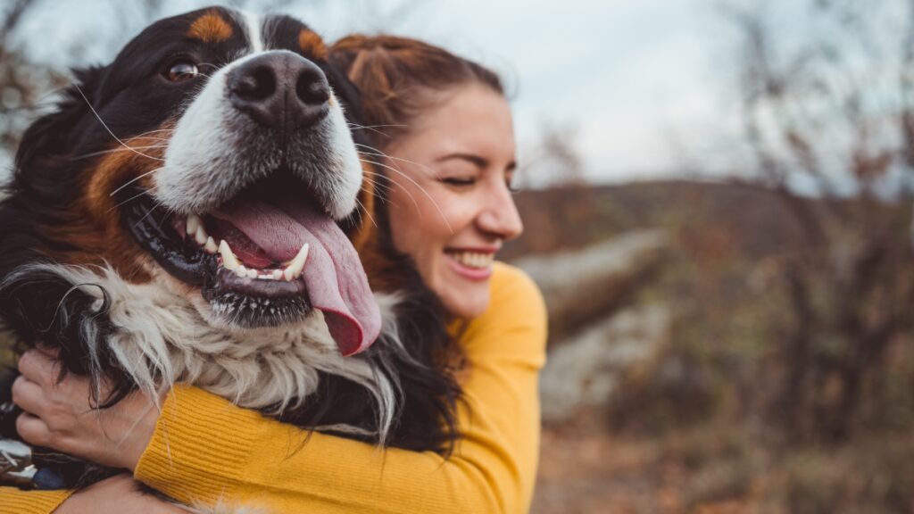 20+ Unique Wedding Gifts for Dog Lovers That’ll Steal Hearts