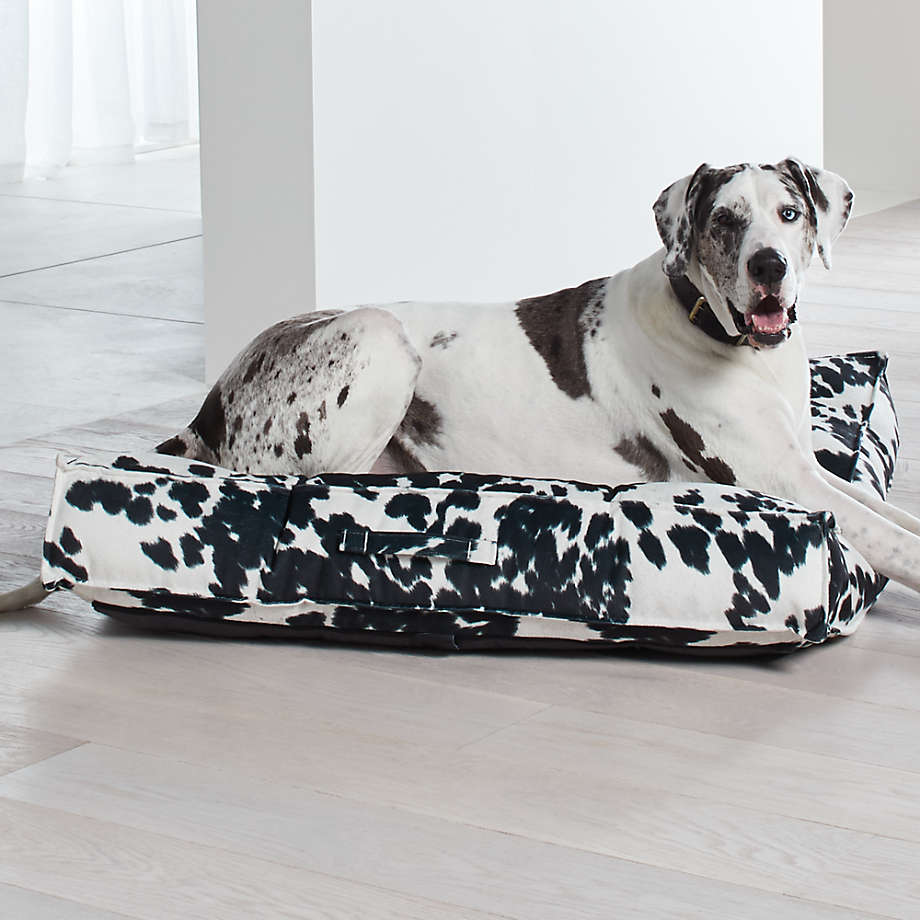 Home Decor Inspired from Dogs 