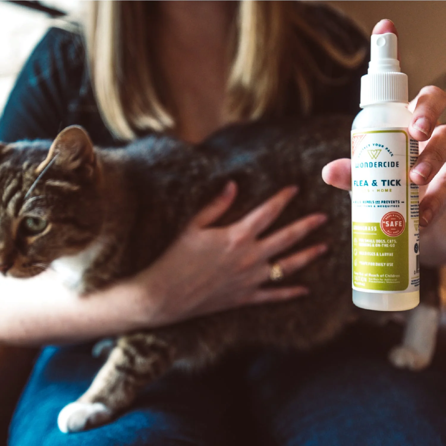 The Best Flea Shampoo For Cats Pets At Home