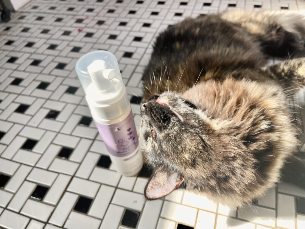 Choosing Waterless Shampoo For Cats