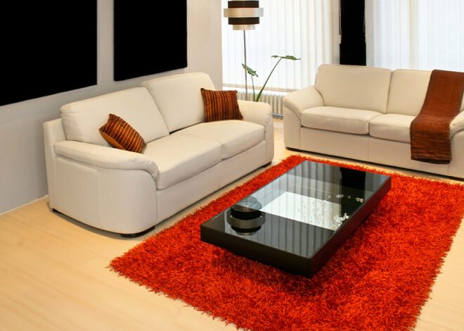 15 Red Carpet For Living Room For A Modern Style