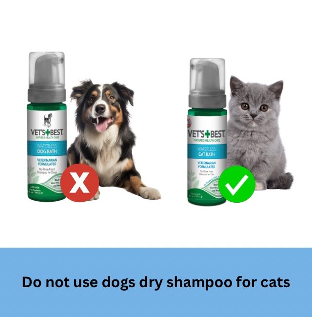 Choose Right Dry Pet Shampoo for Cats