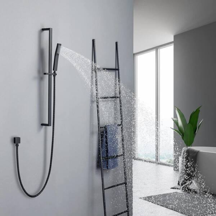 Handheld Shower With Grab Bar