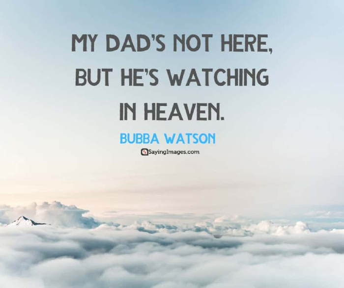 First Fathers Day In Heaven Quotes From Daughter