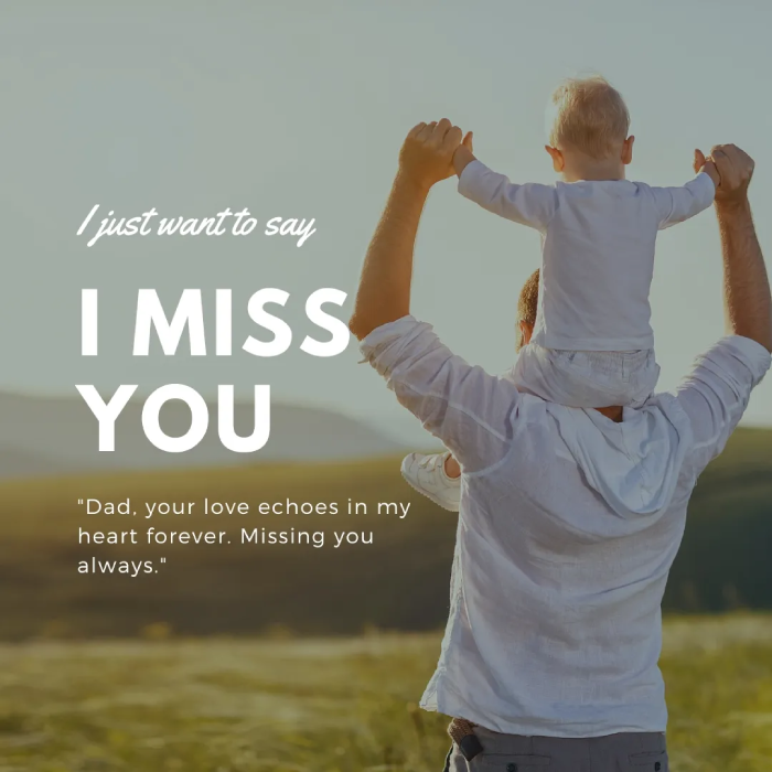 Emotional Fathers Day In Heaven Quotes From Daughter